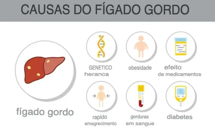 causas de gordura no figado